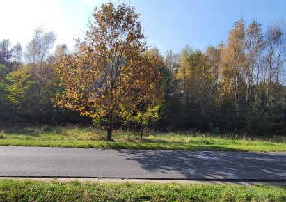działka na sprzedaż - Sędziejowice, Dobra