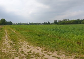 działka na sprzedaż - Stryków (gw), Tymianka, Lipa