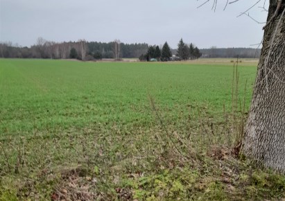 działka na sprzedaż - Widawa, Patoki