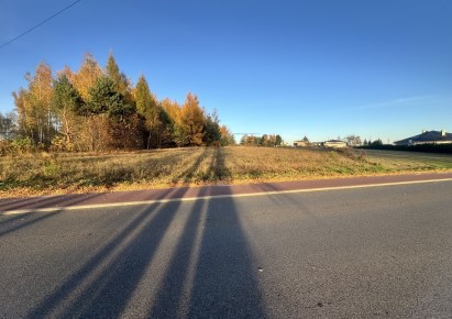 działka na sprzedaż - Koluszki