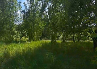 działka na sprzedaż - Łask (gw), Wola Łaska