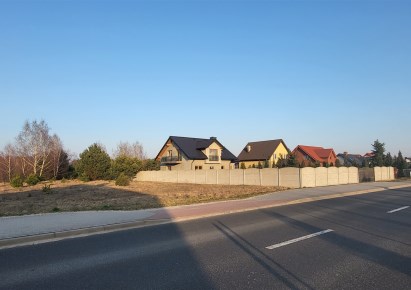 działka na sprzedaż - Zduńska Wola (gw), Izabelów Duży
